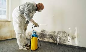 Mold Remediation for Vacation Homes in East Milton, FL